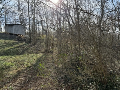 Property #1 Lot #1: Duplex on Shelley St - image 3