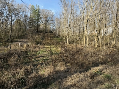 Property #1 Lot #2: Land on Shelley St - image 6