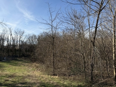 Property #1 Lot #2: Land on Shelley St - image 2