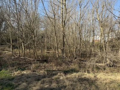 Property #1 Lot #2: Land on Shelley St - image 10