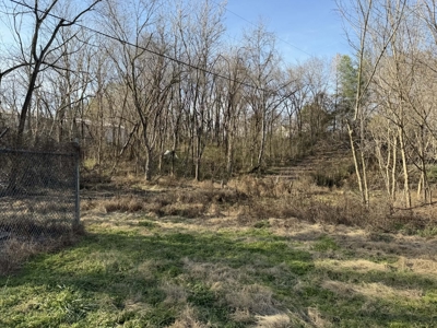 Property #1 Lot #2: Land on Shelley St - image 3