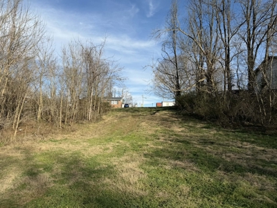 Property #1 Lot #2: Land on Shelley St - image 4