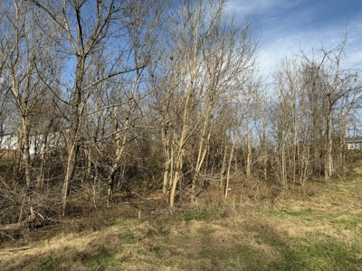 Property #1 Lot #2: Land on Shelley St - image 9