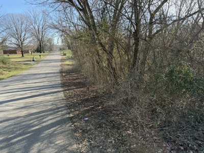 Property #1 Lot #3: Duplex & Lot on Shelley St - image 11