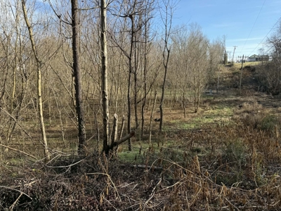 Property #1 Lot #3: Duplex & Lot on Shelley St - image 8