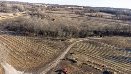 117 Acres with Established Tree Farm for sale - Trenton MO - image 34