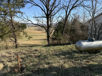 Property #2 Lot #4: Home & Lot 1653 South Hwy 127 - image 20