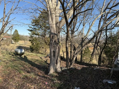 Property #2 Lot #4: Home & Lot 1653 South Hwy 127 - image 19