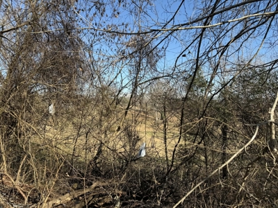 Property #2 Lot #4: Home & Lot 1653 South Hwy 127 - image 14