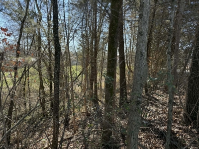 Property #3 Lot #6: Land on Rainbow Dr - image 4