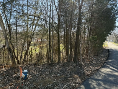 Property #3 Lot #6: Land on Rainbow Dr - image 2