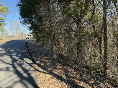 Property #3 Lot #6: Land on Rainbow Dr - image 9