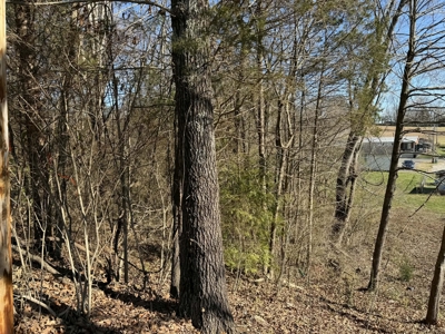 Property #3 Lot #6: Land on Rainbow Dr - image 10