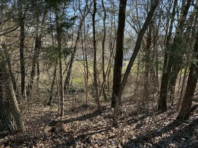 Property #3 Lot #6: Land on Rainbow Dr - image 7