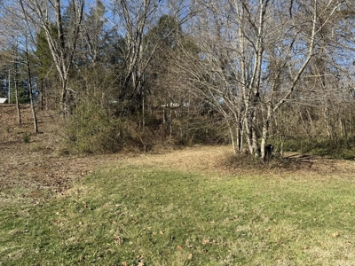 Property #3 Lot #6: Land on Rainbow Dr - image 13