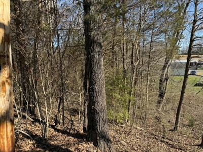 Property #3 Lot #6: Land on Rainbow Dr - image 11