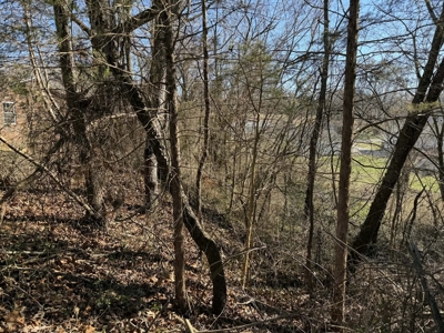 Property #3 Lot #6: Land on Rainbow Dr - image 5