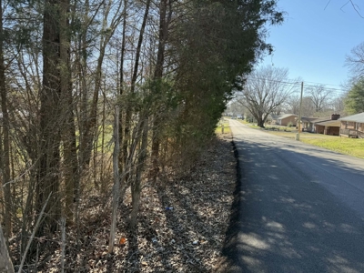 Property #3 Lot #6: Land on Rainbow Dr - image 6