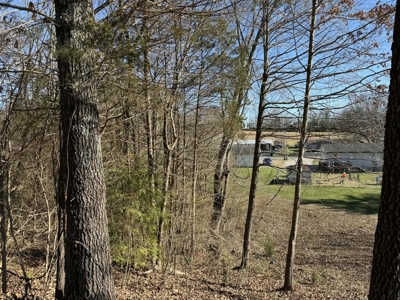 Property #3 Lot #6: Land on Rainbow Dr - image 12