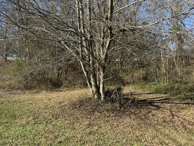 Property #3 Lot #6: Land on Rainbow Dr - image 14