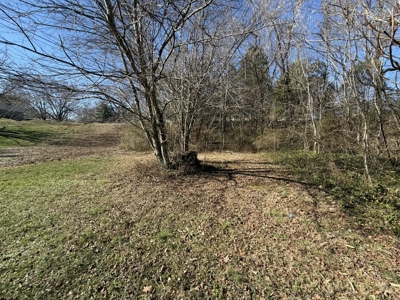 Property #3 Lot #6: Land on Rainbow Dr - image 17