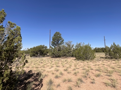 Ready to Build Lot in Seligman AZ with Installed Septic - image 2
