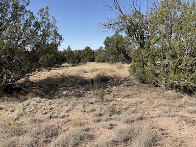Ready to Build Lot in Seligman AZ with Installed Septic - image 5