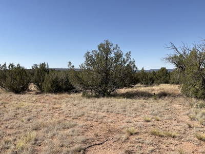 Ready to Build Lot in Seligman AZ with Installed Septic - image 7