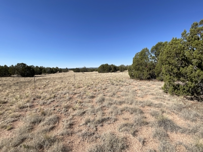 Ready to Build Lot in Seligman AZ with Installed Septic - image 6