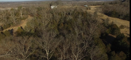 Charming Country Home and 54 Acres near Linn, MO! - image 40