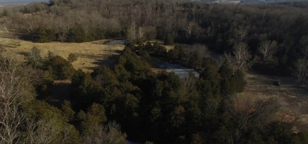 Charming Country Home and 54 Acres near Linn, MO! - image 38