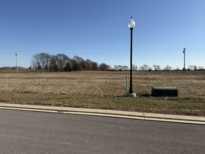 Residential lots for sale in Franklin, Ky - image 3