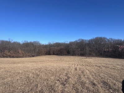 Great Building Site South Of Cameron, Blacktop Frontage! - image 9