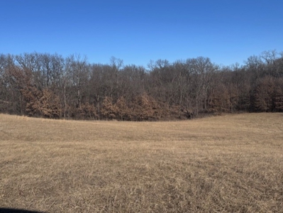 Great Building Site South Of Cameron, Blacktop Frontage! - image 10
