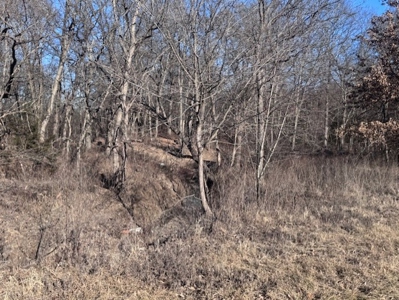 Great Building Site South Of Cameron, Blacktop Frontage! - image 8
