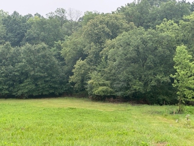 Great Building Site South Of Cameron, Blacktop Frontage! - image 2