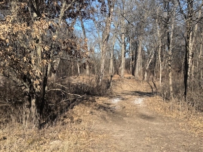 Great Building Site South Of Cameron, Blacktop Frontage! - image 5