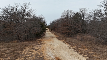 North Texas 84 acre Hunting Property - image 4