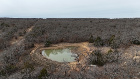North Texas 84 acre Hunting Property - image 2