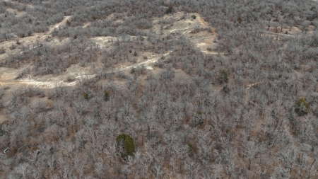North Texas 84 acre Hunting Property - image 3