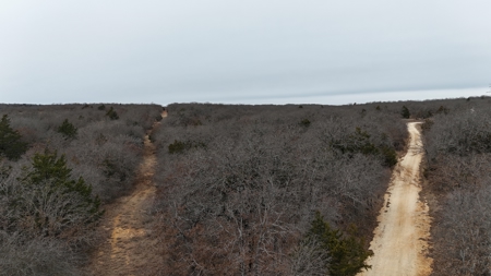 North Texas 84 acre Hunting Property - image 5