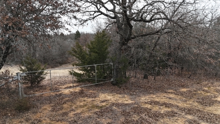 North Texas 84 acre Hunting Property - image 9