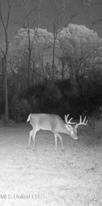 116 Acres with 1600 sq ft Cabin in Yazoo County - image 40