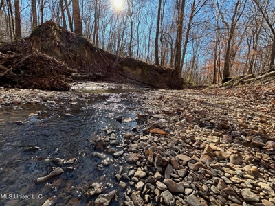 116 Acres with 1600 sq ft Cabin in Yazoo County - image 1