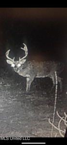 116 Acres with 1600 sq ft Cabin in Yazoo County - image 45