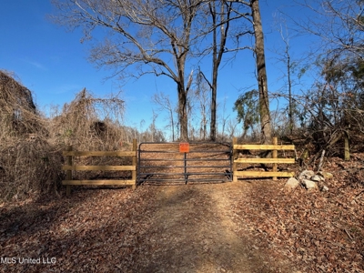 116 Acres with 1600 sq ft Cabin in Yazoo County - image 34