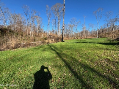 116 Acres with 1600 sq ft Cabin in Yazoo County - image 33