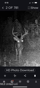 116 Acres with 1600 sq ft Cabin in Yazoo County - image 48