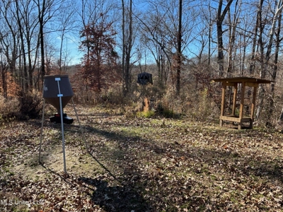 116 Acres with 1600 sq ft Cabin in Yazoo County - image 13