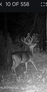 116 Acres with 1600 sq ft Cabin in Yazoo County - image 44